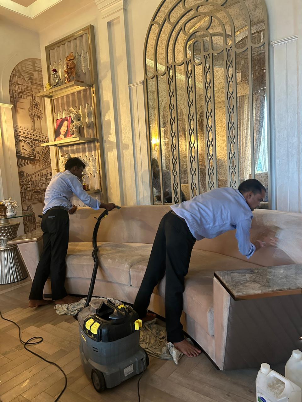 Sofa cleaning